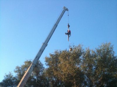 san diego tree crane service